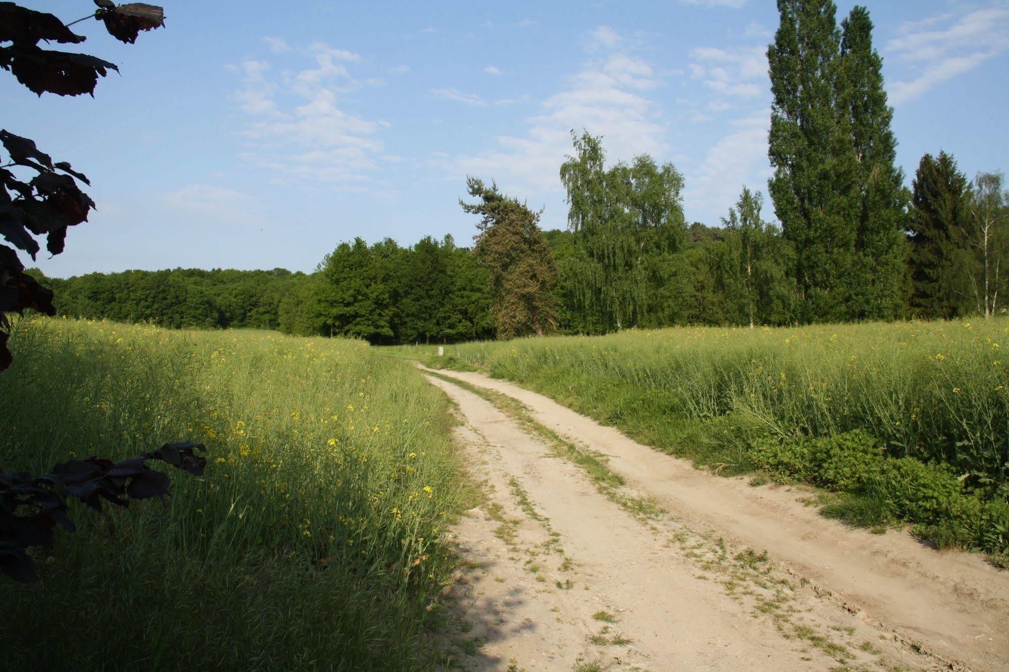 La Raimbaudiere Bed & Breakfast Guigneville-sur-Essonne Eksteriør bilde