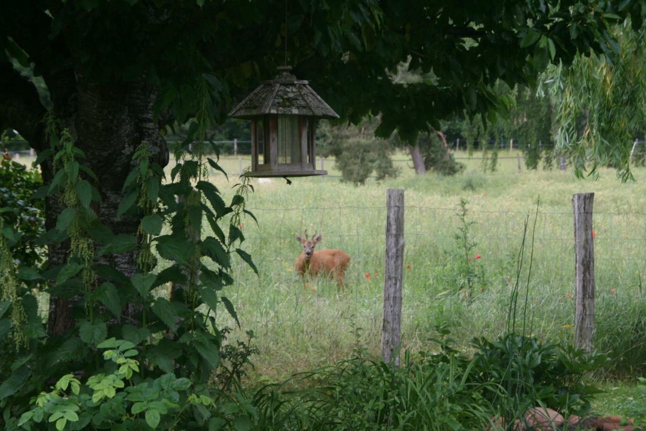 La Raimbaudiere Bed & Breakfast Guigneville-sur-Essonne Eksteriør bilde